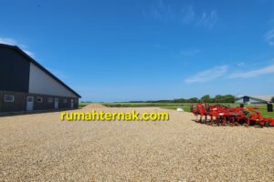 Tahapan Memulai Peternakan Babi Modern