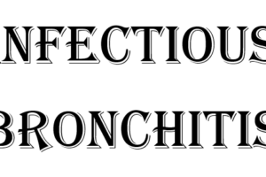 Infectious Bronchitis pada Unggas