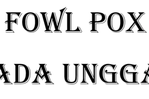 Fowl Pox pada Unggas