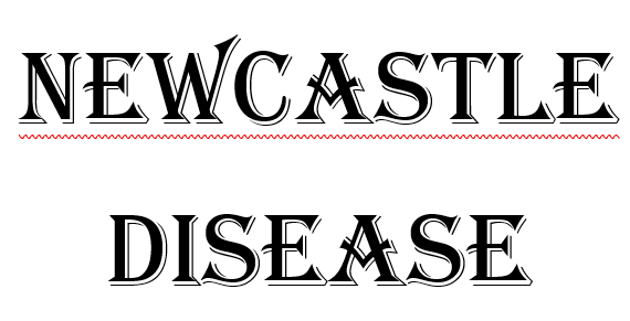Newcastle Disease pada Unggas