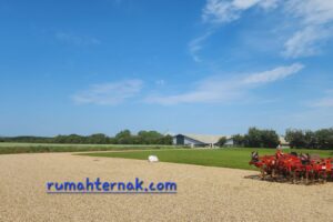 Mendesain Kandang Babi