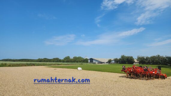 Mendesain Kandang Babi