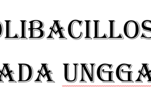 Colibacillosis pada Unggas