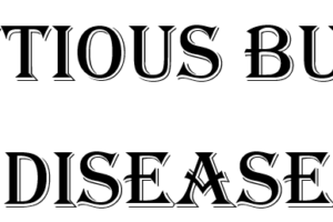 Infectious Bursal Disease pada Unggas